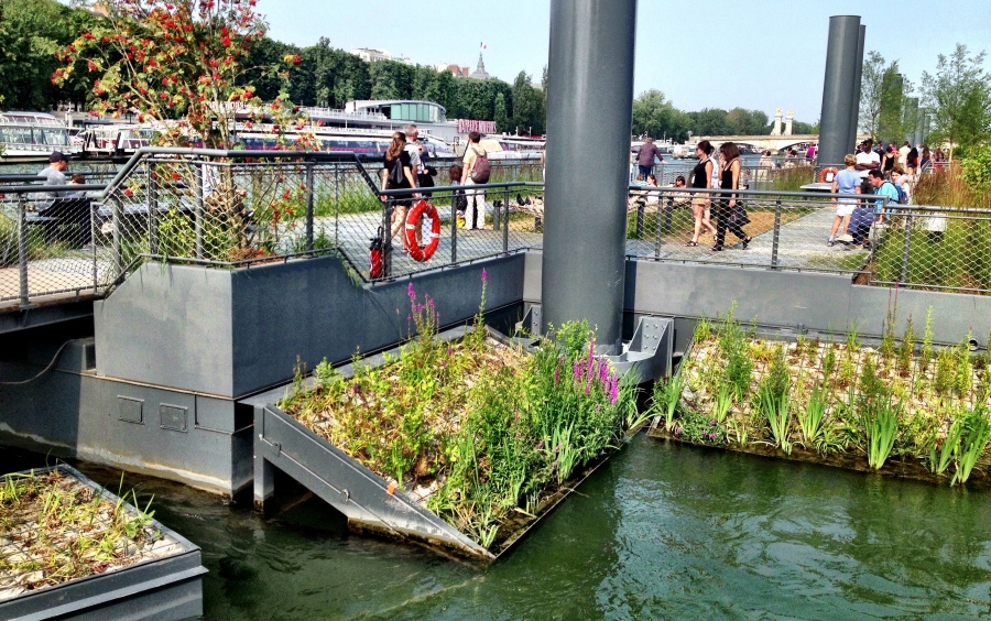 Cleaning the Seine River with reed beds - urban ecosystem services in action!
